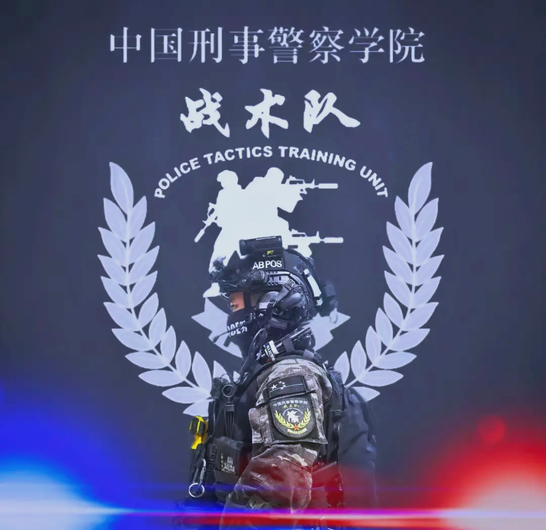 关于球队战术组织完美展现，实现胜利的信息